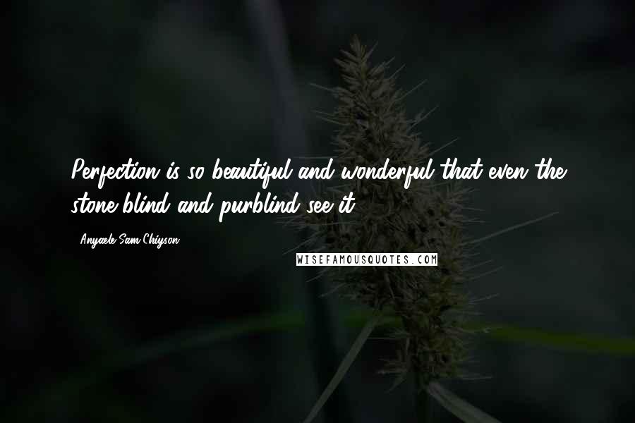 Anyaele Sam Chiyson Quotes: Perfection is so beautiful and wonderful that even the stone-blind and purblind see it.