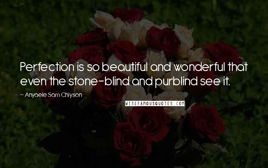 Anyaele Sam Chiyson Quotes: Perfection is so beautiful and wonderful that even the stone-blind and purblind see it.