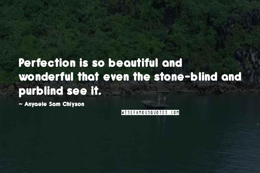 Anyaele Sam Chiyson Quotes: Perfection is so beautiful and wonderful that even the stone-blind and purblind see it.