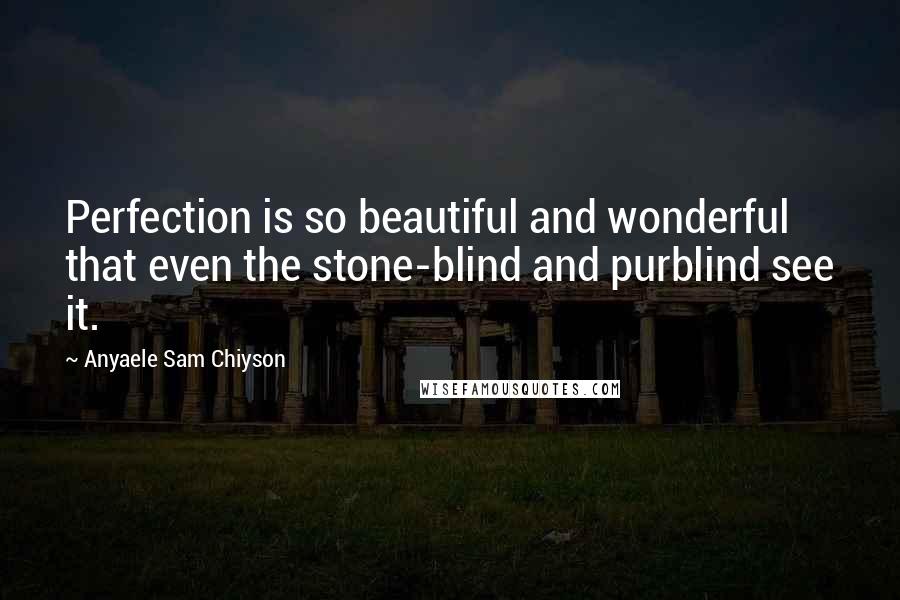 Anyaele Sam Chiyson Quotes: Perfection is so beautiful and wonderful that even the stone-blind and purblind see it.