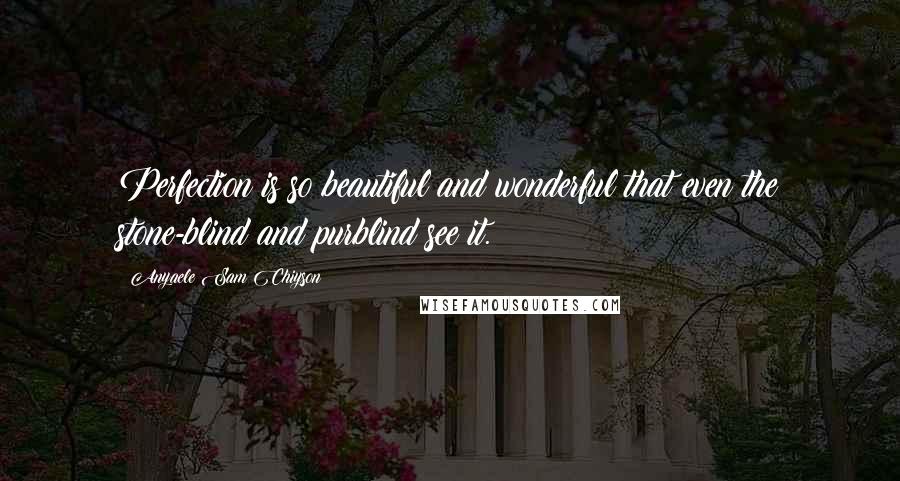 Anyaele Sam Chiyson Quotes: Perfection is so beautiful and wonderful that even the stone-blind and purblind see it.