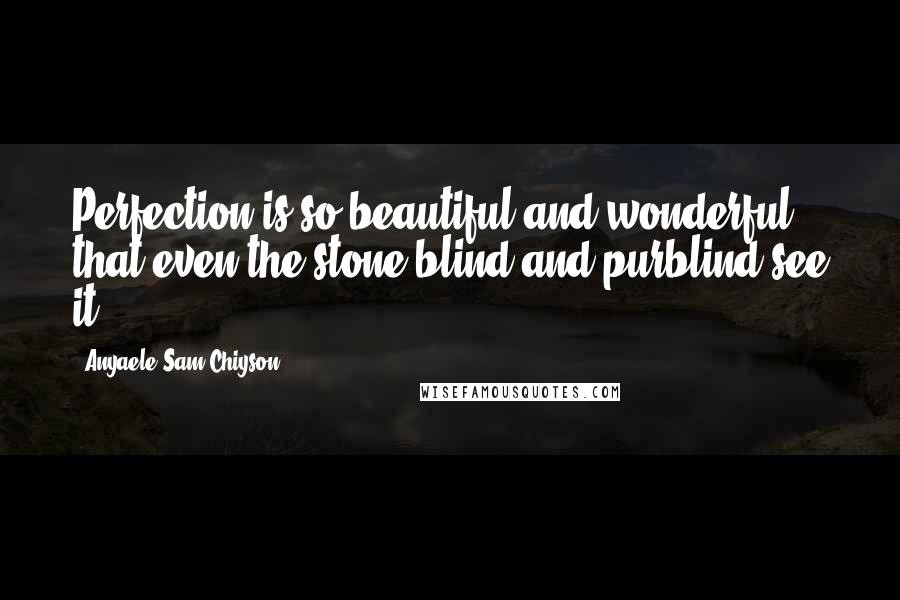 Anyaele Sam Chiyson Quotes: Perfection is so beautiful and wonderful that even the stone-blind and purblind see it.
