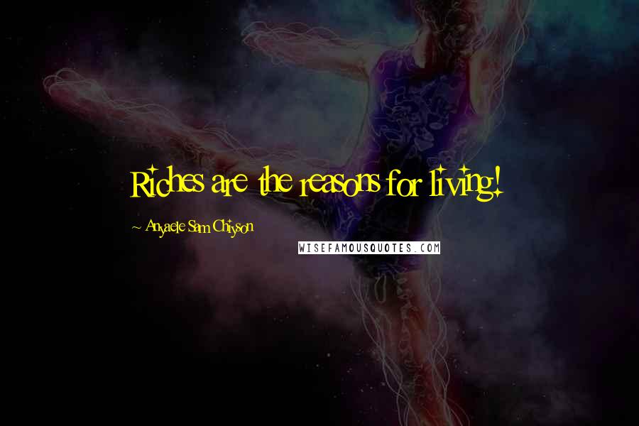 Anyaele Sam Chiyson Quotes: Riches are the reasons for living!