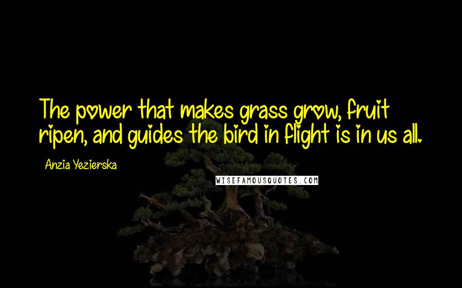 Anzia Yezierska Quotes: The power that makes grass grow, fruit ripen, and guides the bird in flight is in us all.