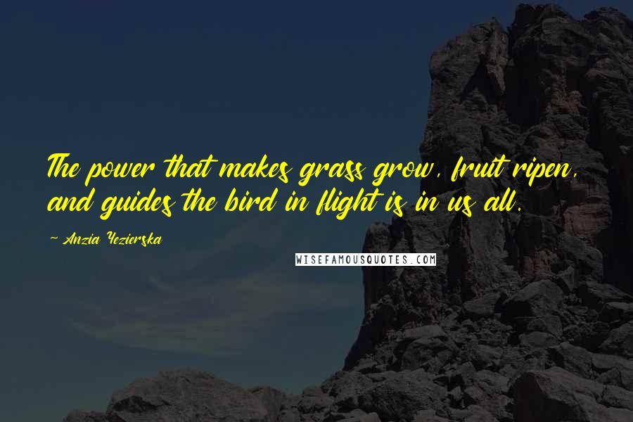 Anzia Yezierska Quotes: The power that makes grass grow, fruit ripen, and guides the bird in flight is in us all.