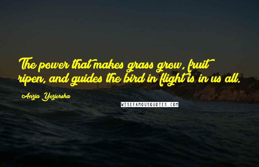 Anzia Yezierska Quotes: The power that makes grass grow, fruit ripen, and guides the bird in flight is in us all.