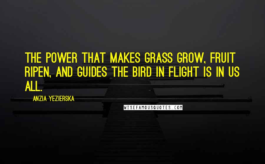 Anzia Yezierska Quotes: The power that makes grass grow, fruit ripen, and guides the bird in flight is in us all.