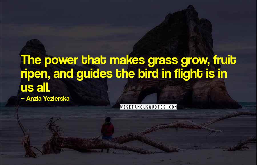 Anzia Yezierska Quotes: The power that makes grass grow, fruit ripen, and guides the bird in flight is in us all.