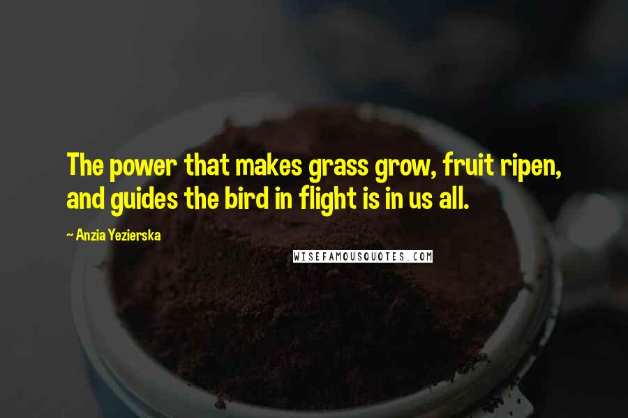 Anzia Yezierska Quotes: The power that makes grass grow, fruit ripen, and guides the bird in flight is in us all.