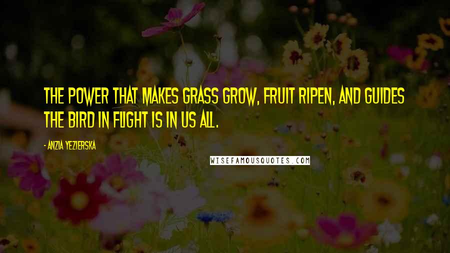 Anzia Yezierska Quotes: The power that makes grass grow, fruit ripen, and guides the bird in flight is in us all.