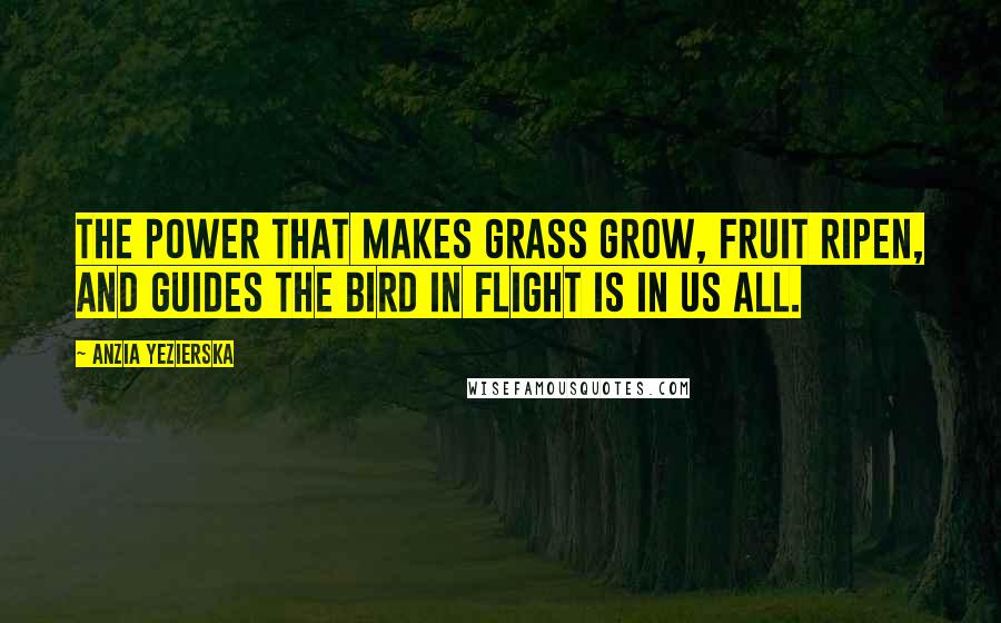 Anzia Yezierska Quotes: The power that makes grass grow, fruit ripen, and guides the bird in flight is in us all.