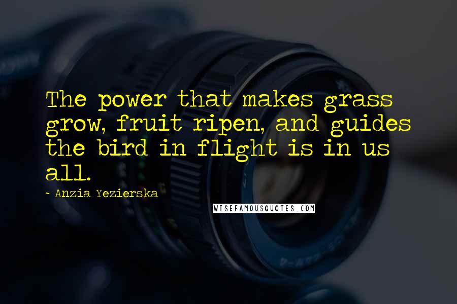 Anzia Yezierska Quotes: The power that makes grass grow, fruit ripen, and guides the bird in flight is in us all.