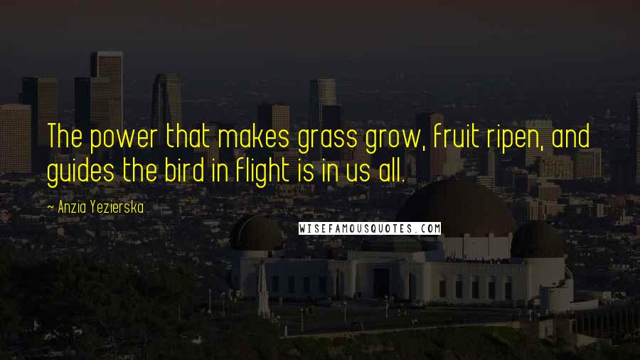 Anzia Yezierska Quotes: The power that makes grass grow, fruit ripen, and guides the bird in flight is in us all.