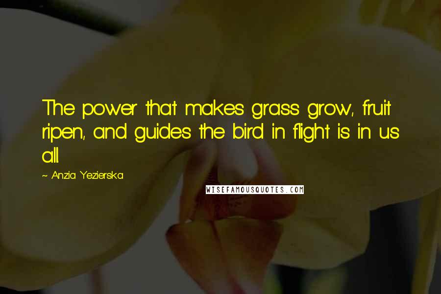 Anzia Yezierska Quotes: The power that makes grass grow, fruit ripen, and guides the bird in flight is in us all.