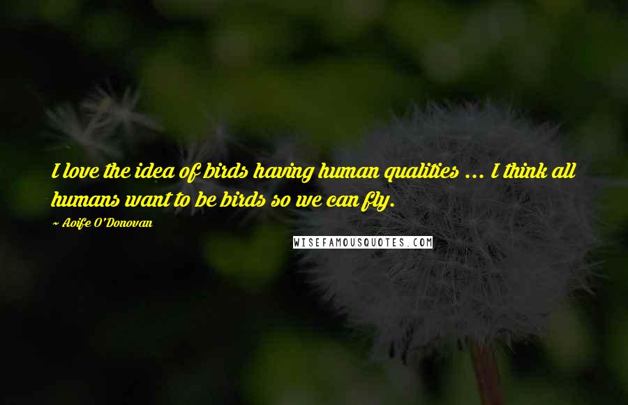 Aoife O'Donovan Quotes: I love the idea of birds having human qualities ... I think all humans want to be birds so we can fly.