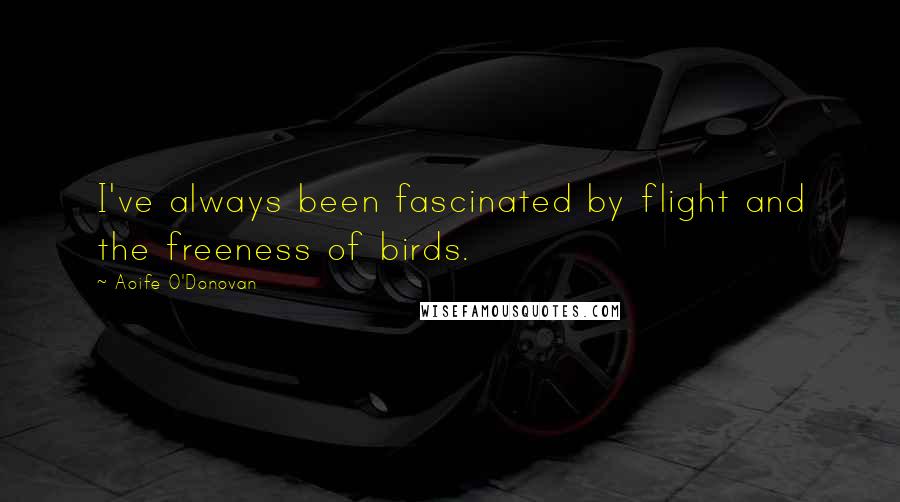 Aoife O'Donovan Quotes: I've always been fascinated by flight and the freeness of birds.