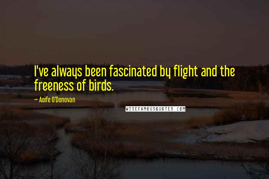 Aoife O'Donovan Quotes: I've always been fascinated by flight and the freeness of birds.