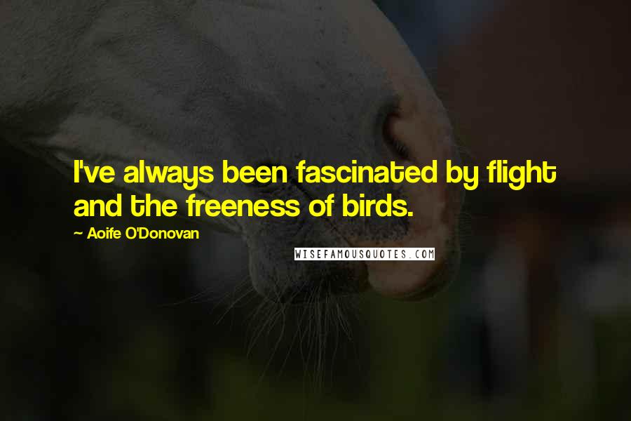 Aoife O'Donovan Quotes: I've always been fascinated by flight and the freeness of birds.