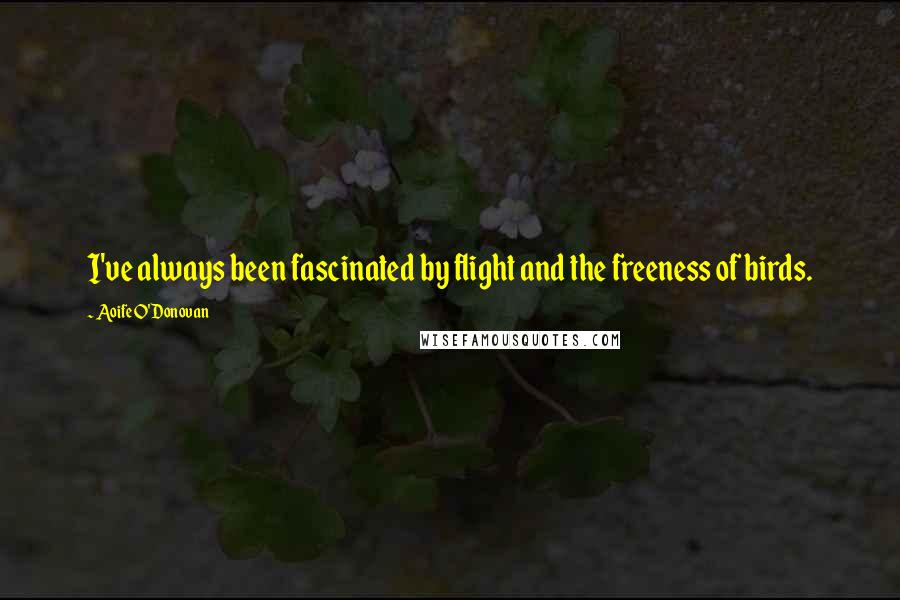 Aoife O'Donovan Quotes: I've always been fascinated by flight and the freeness of birds.