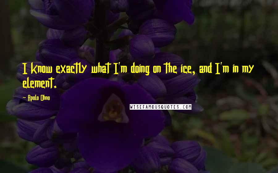 Apolo Ohno Quotes: I know exactly what I'm doing on the ice, and I'm in my element.