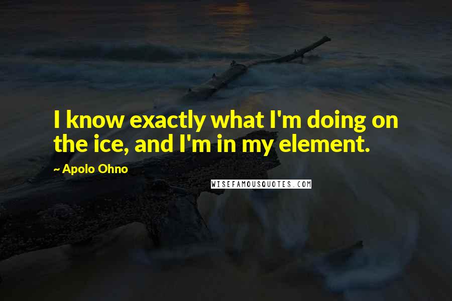 Apolo Ohno Quotes: I know exactly what I'm doing on the ice, and I'm in my element.