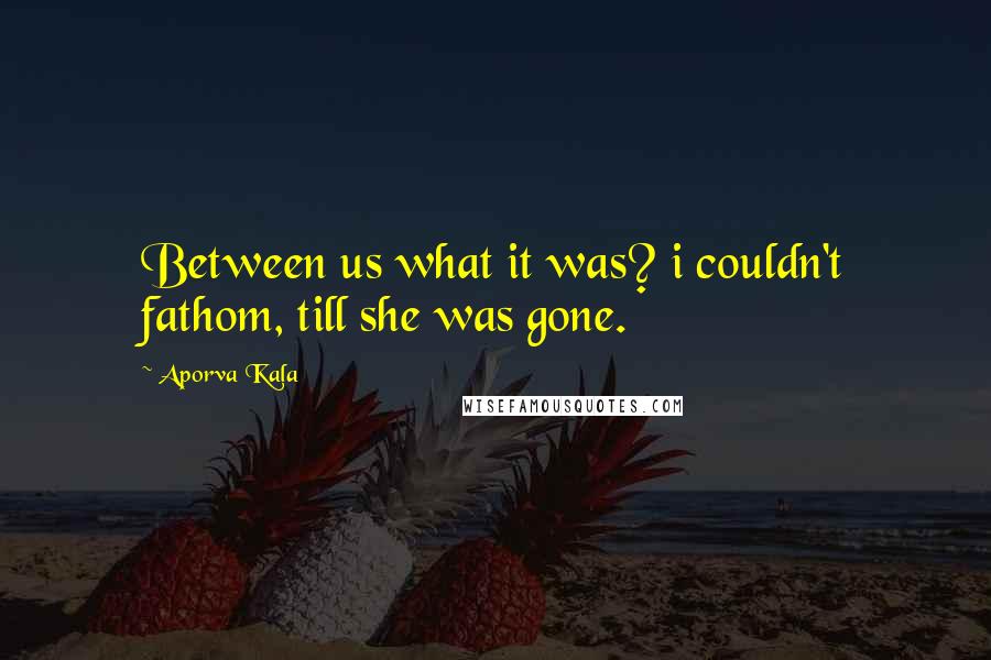 Aporva Kala Quotes: Between us what it was? i couldn't fathom, till she was gone.