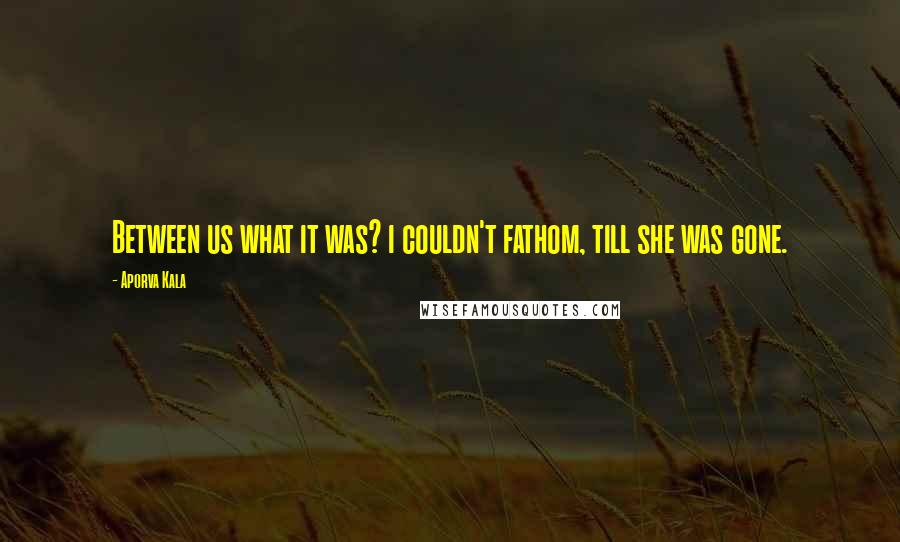 Aporva Kala Quotes: Between us what it was? i couldn't fathom, till she was gone.