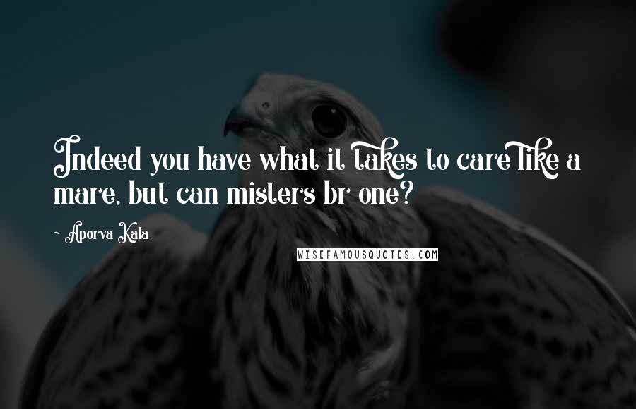 Aporva Kala Quotes: Indeed you have what it takes to care like a mare, but can misters br one?