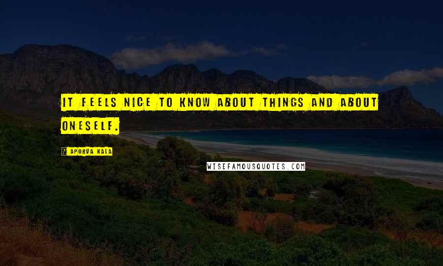 Aporva Kala Quotes: It feels nice to know about things and about oneself.