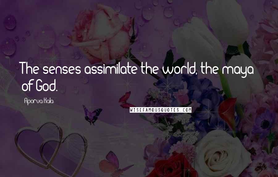 Aporva Kala Quotes: The senses assimilate the world, the maya of God.