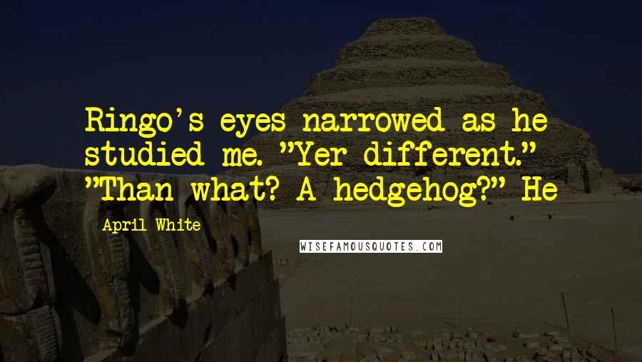 April White Quotes: Ringo's eyes narrowed as he studied me. "Yer different." "Than what? A hedgehog?" He