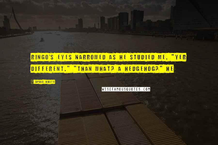 April White Quotes: Ringo's eyes narrowed as he studied me. "Yer different." "Than what? A hedgehog?" He