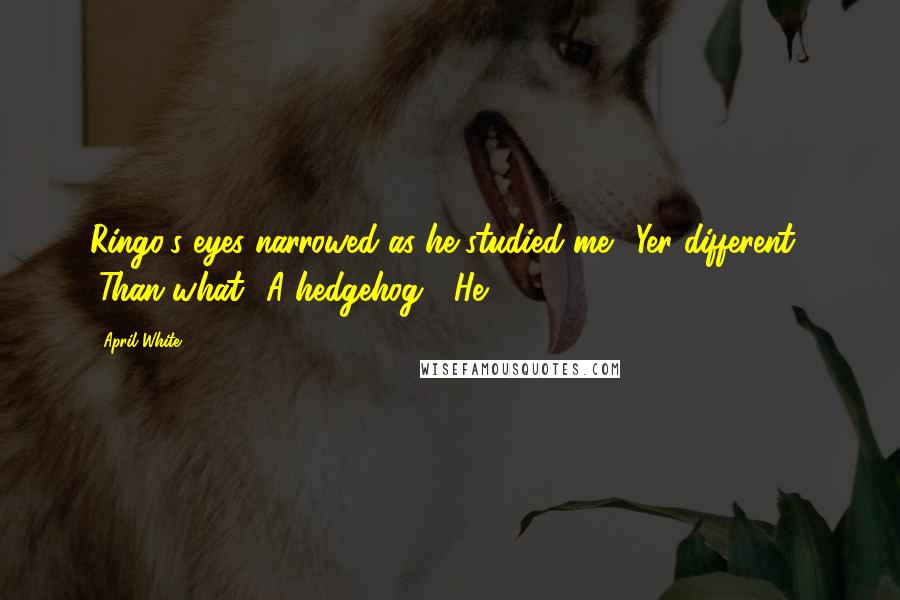 April White Quotes: Ringo's eyes narrowed as he studied me. "Yer different." "Than what? A hedgehog?" He