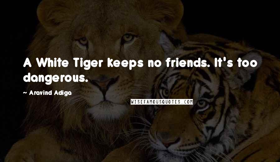 Aravind Adiga Quotes: A White Tiger keeps no friends. It's too dangerous.