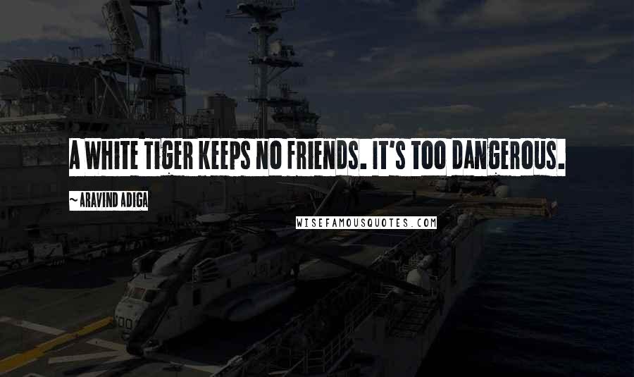 Aravind Adiga Quotes: A White Tiger keeps no friends. It's too dangerous.