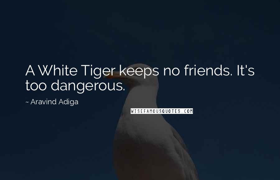 Aravind Adiga Quotes: A White Tiger keeps no friends. It's too dangerous.