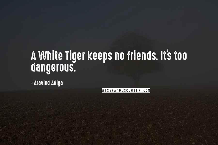 Aravind Adiga Quotes: A White Tiger keeps no friends. It's too dangerous.