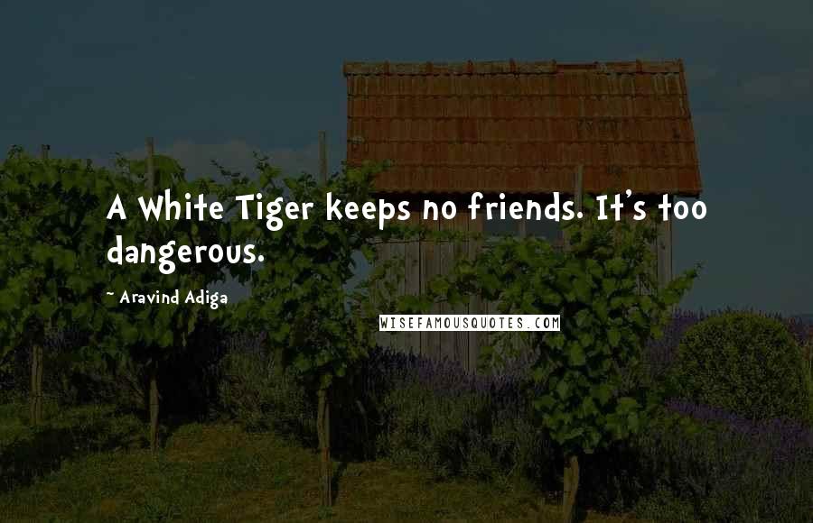 Aravind Adiga Quotes: A White Tiger keeps no friends. It's too dangerous.