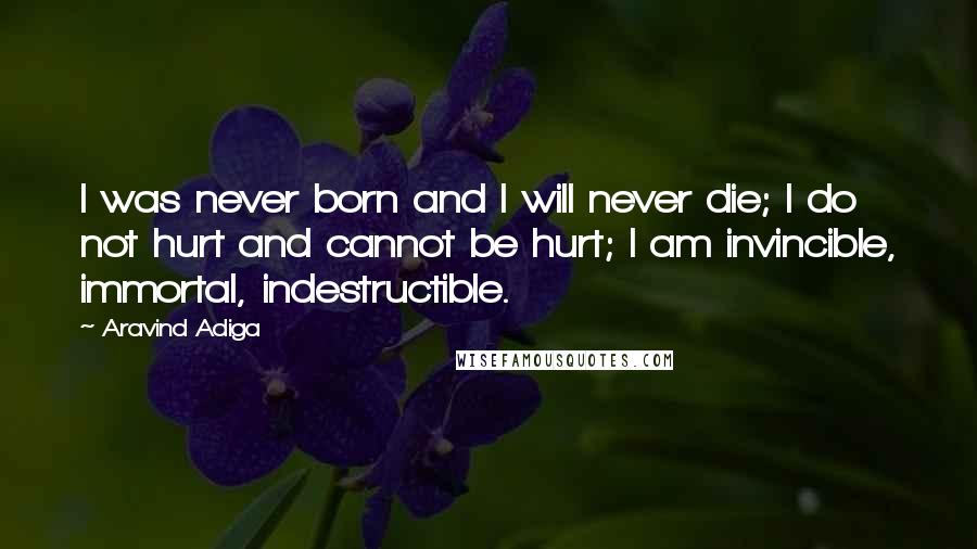 Aravind Adiga Quotes: I was never born and I will never die; I do not hurt and cannot be hurt; I am invincible, immortal, indestructible.