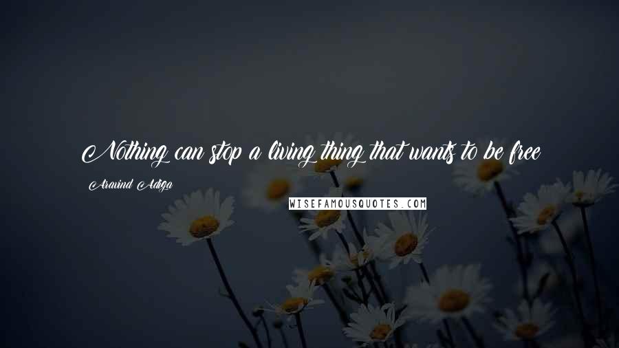 Aravind Adiga Quotes: Nothing can stop a living thing that wants to be free