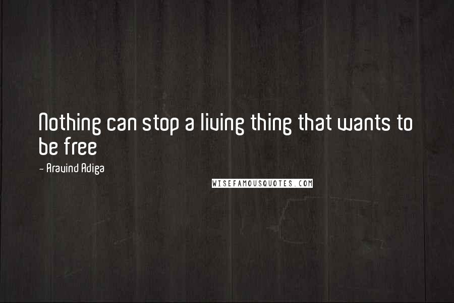 Aravind Adiga Quotes: Nothing can stop a living thing that wants to be free
