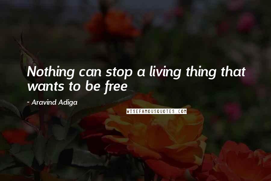 Aravind Adiga Quotes: Nothing can stop a living thing that wants to be free