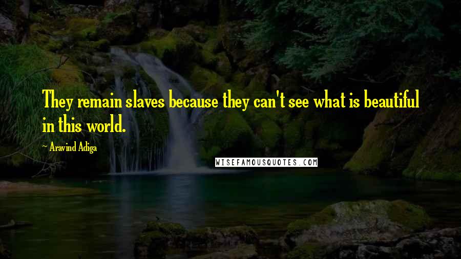 Aravind Adiga Quotes: They remain slaves because they can't see what is beautiful in this world.