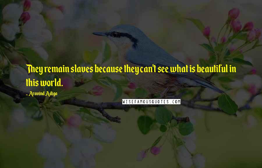 Aravind Adiga Quotes: They remain slaves because they can't see what is beautiful in this world.