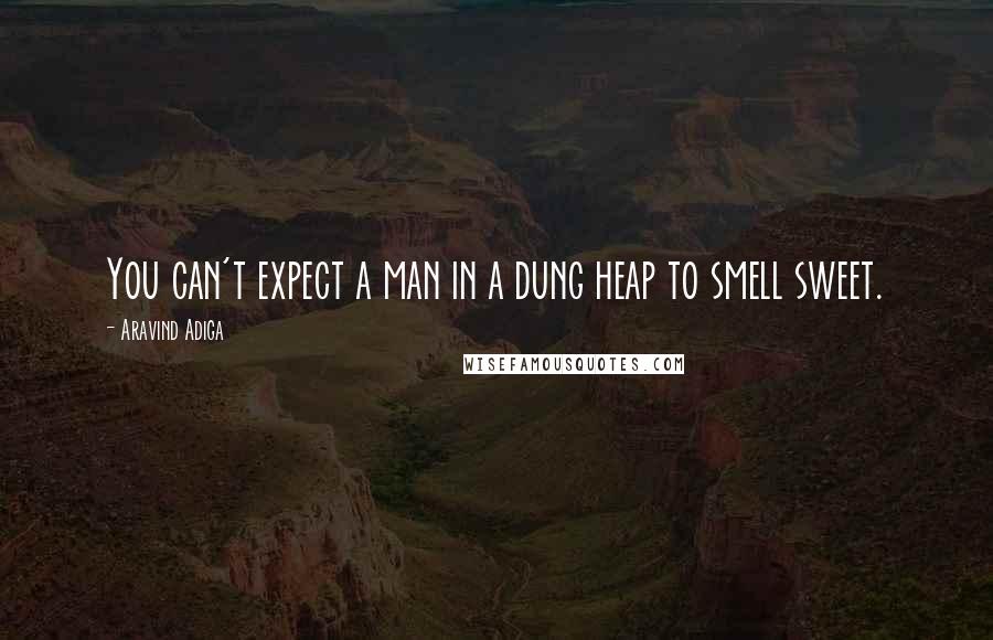 Aravind Adiga Quotes: You can't expect a man in a dung heap to smell sweet.