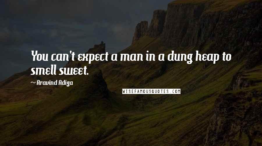 Aravind Adiga Quotes: You can't expect a man in a dung heap to smell sweet.