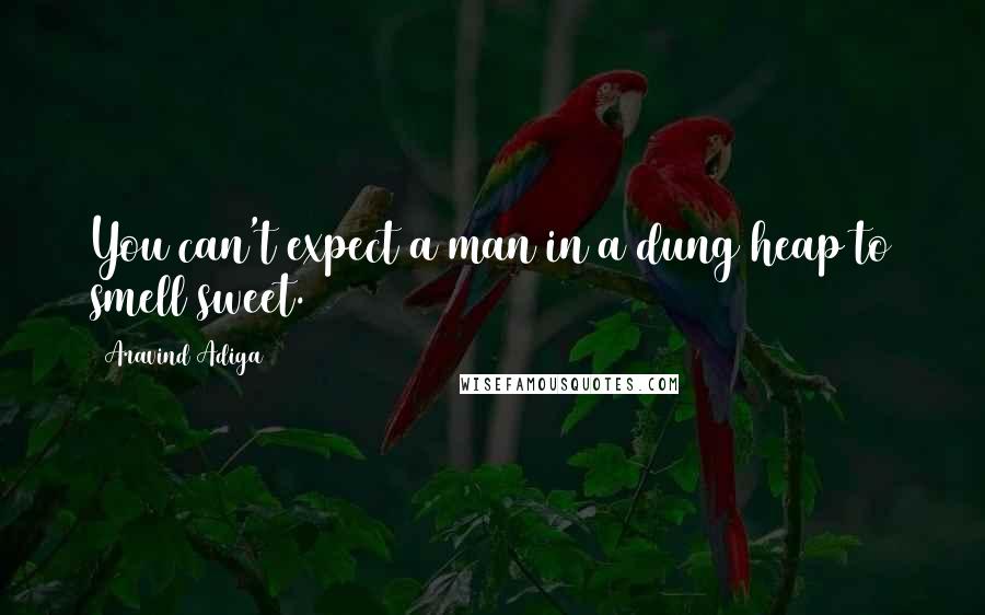 Aravind Adiga Quotes: You can't expect a man in a dung heap to smell sweet.