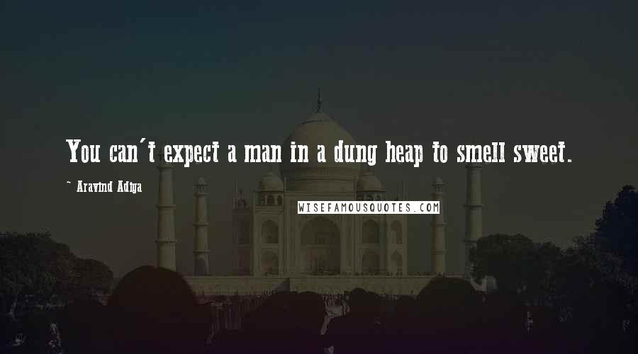 Aravind Adiga Quotes: You can't expect a man in a dung heap to smell sweet.