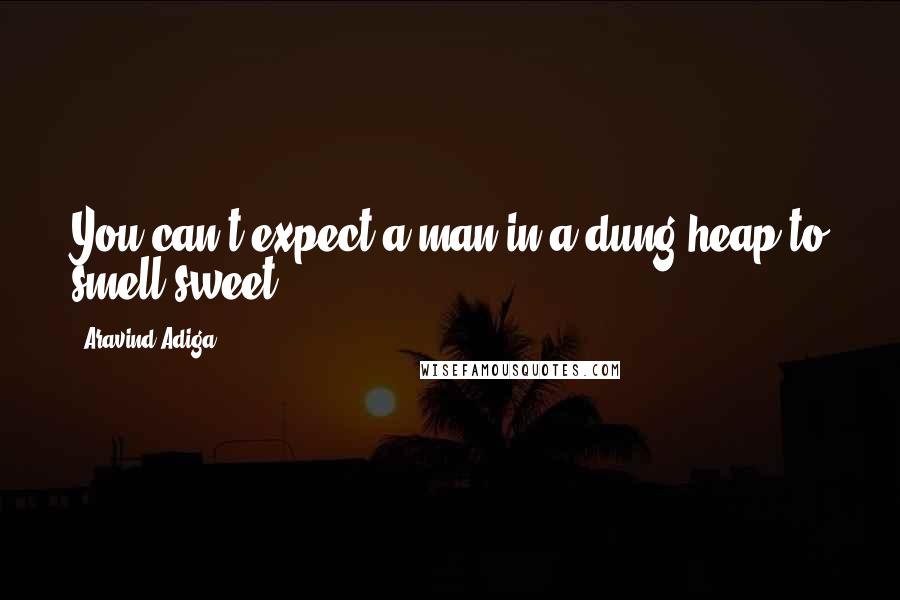 Aravind Adiga Quotes: You can't expect a man in a dung heap to smell sweet.