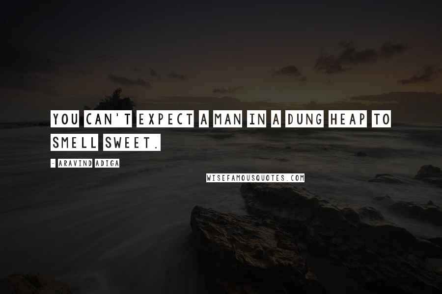 Aravind Adiga Quotes: You can't expect a man in a dung heap to smell sweet.